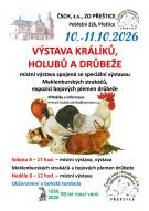 výstava králíků